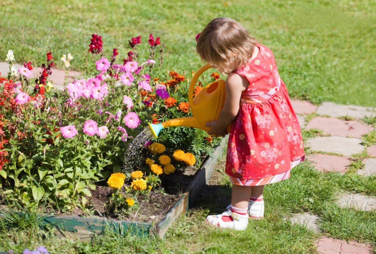 В саду гудят. Цветочки в саду. Клумбы в саду. Клумба для детей. Клумба огород для детей.