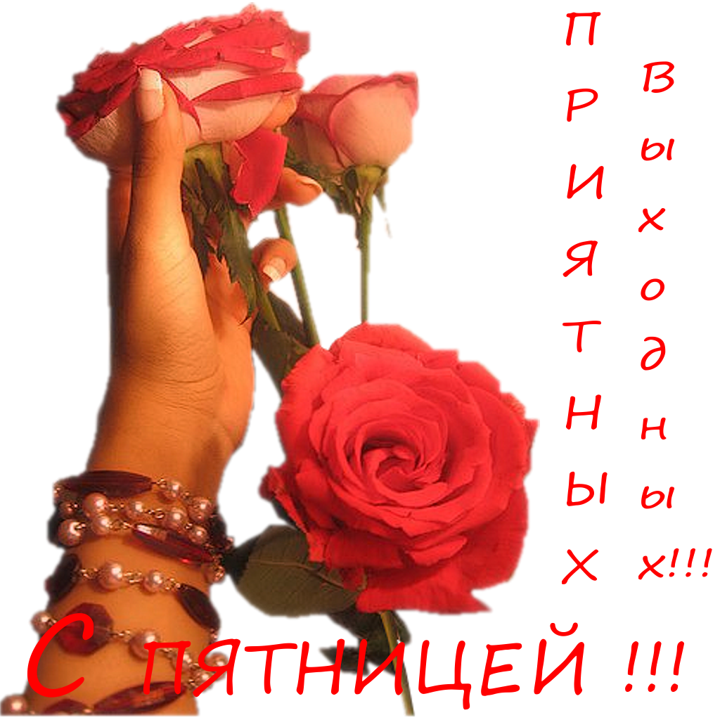 Цветы картинки самые красивые для женщины для настроения