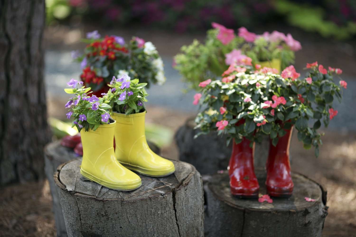 Цветы в резиновых сапожках | Деревенские фотографии, Обувь, Сапожки