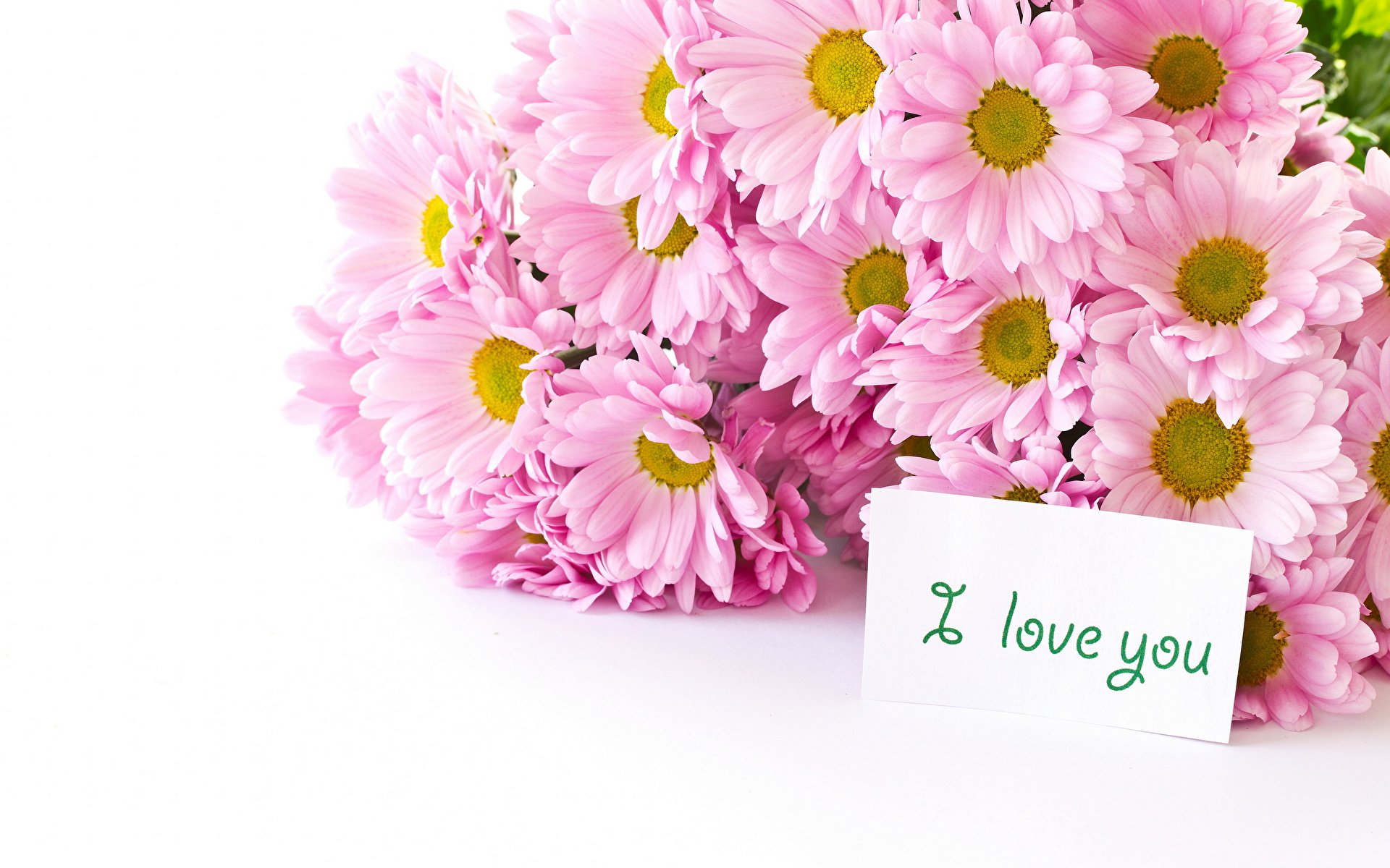Открытка с днем рождения с хризантемами. Открытки с цветами. Цветы поздравления. Цветочки для открытки. С днем рождения цветы.