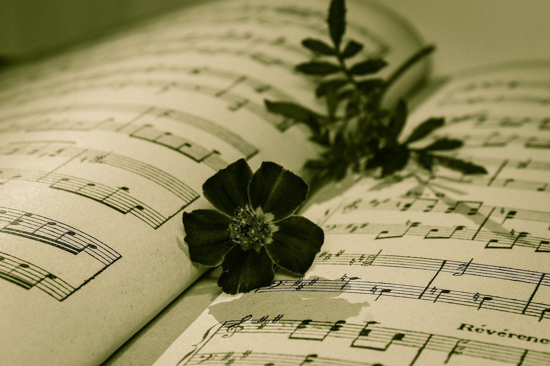 Поэзия как музыка души