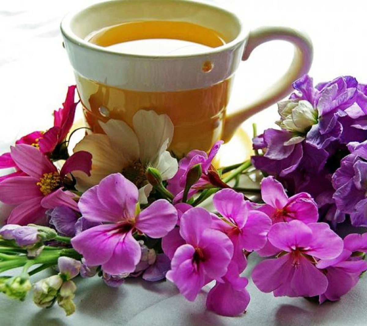 Доброе утро хорошего дня чаи. Доброе утро цветы. Цветы в кружке. Доброе утро с цветами. Чай цветок.