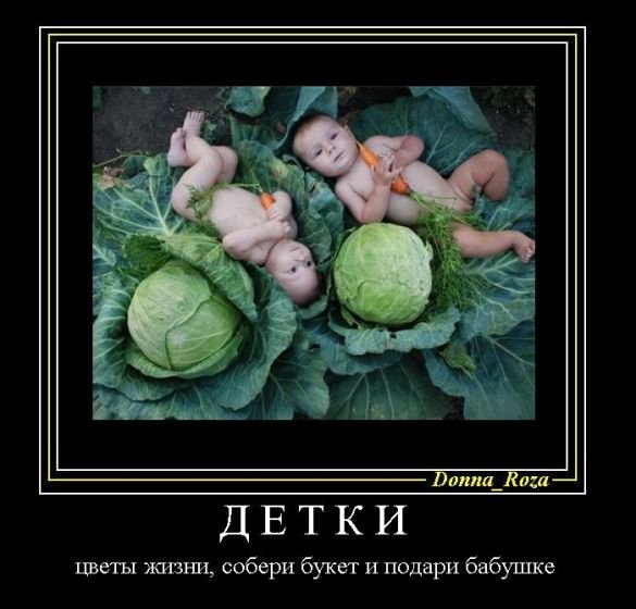 Осень наступила юмор