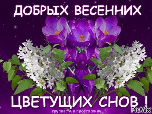 Добрых весенних снов