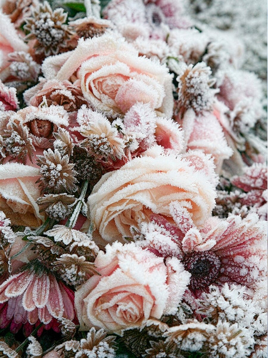 Красивые зимние открытки - 77 фото