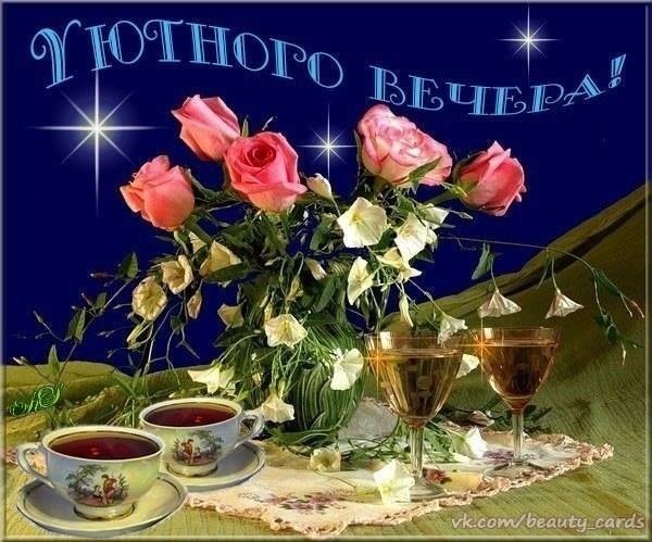 Цветы розы