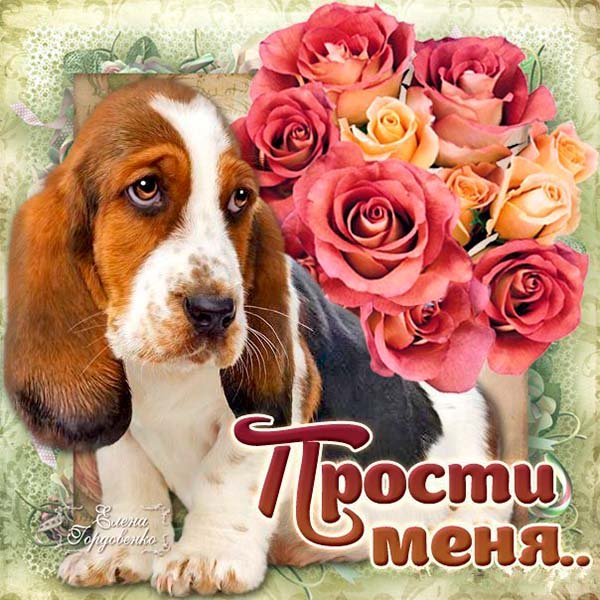 Открытка прости меня