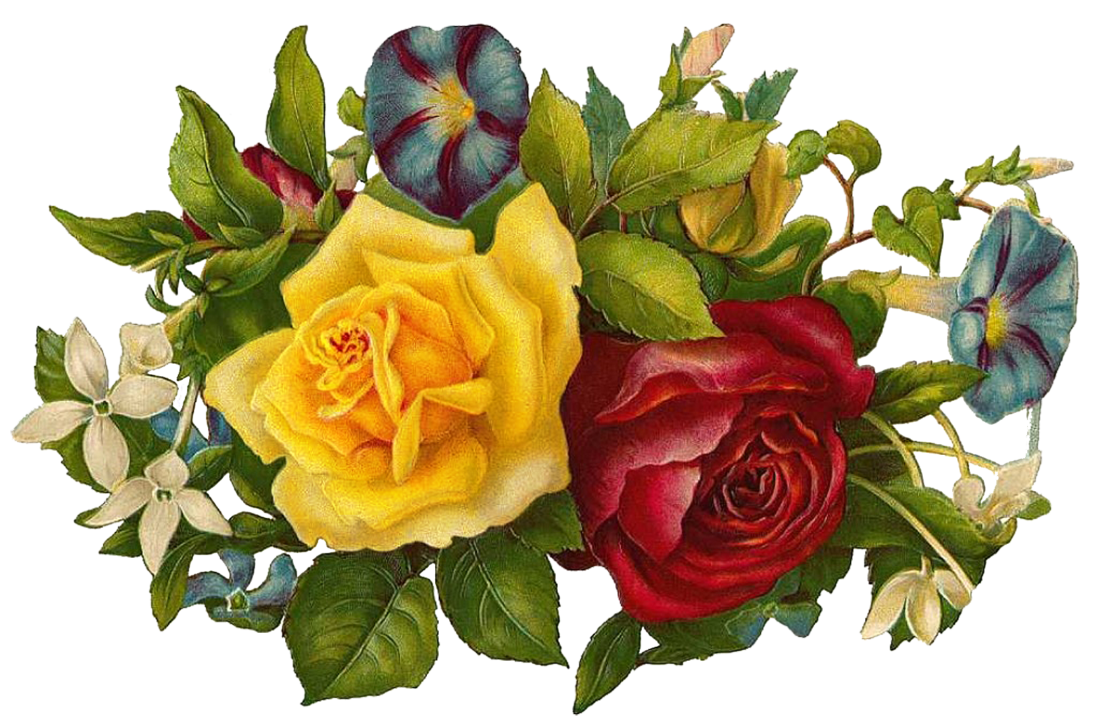 Png Flower