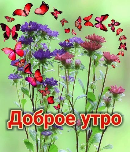 Открытки с добрым утром красивые необычные с пожеланиями