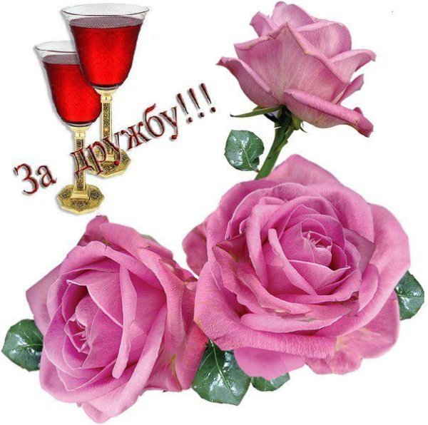 Цветы в знак дружбы