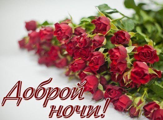 Цветы с пожеланием спокойной ночи