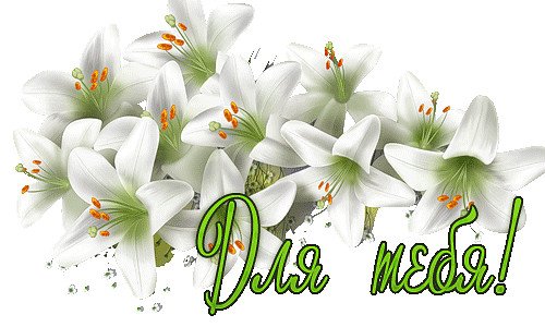 Шикарные лилии с днем рождения
