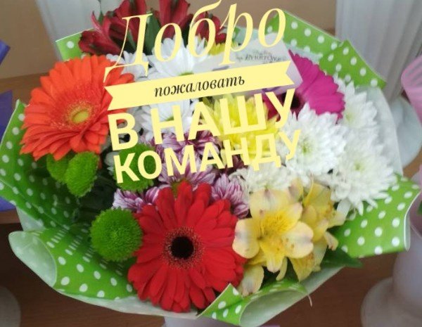 Добро пожаловать в коллектив