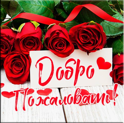 Добро пожаловать в группу