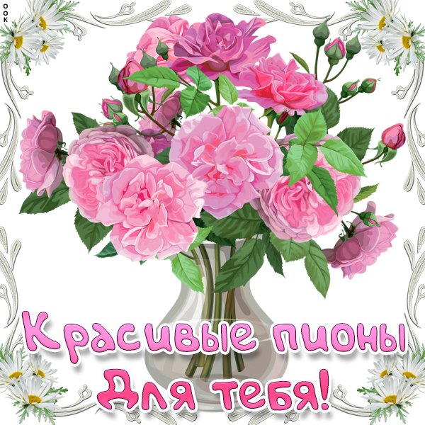 Открытки с днем рождения пионы