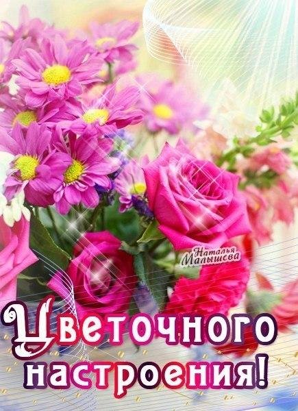 Цветы просто так