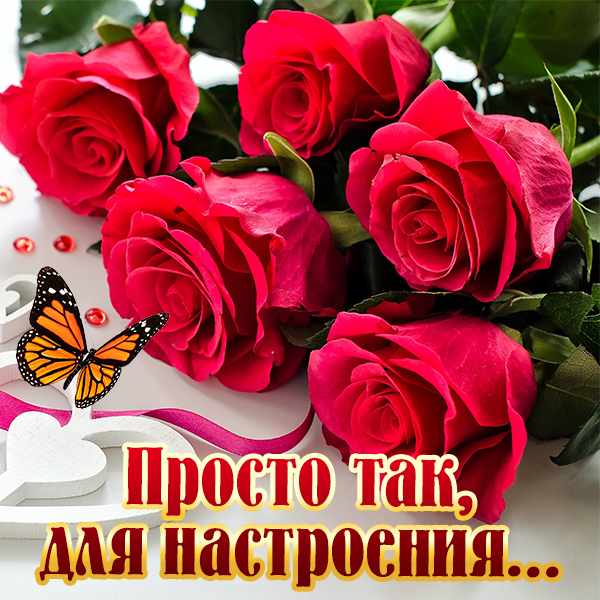 Красивый букет цветов для настроения