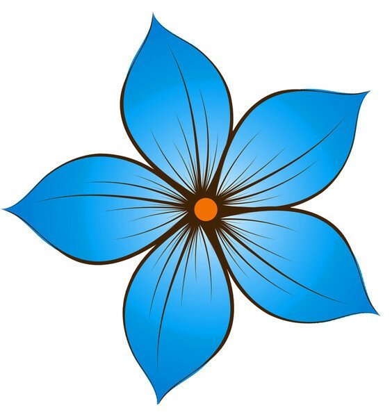 Лилия рисунок