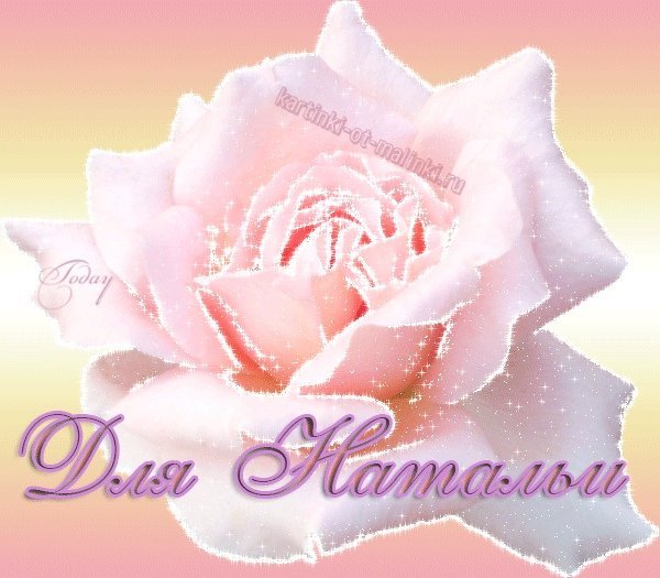 Цветы для Натальи