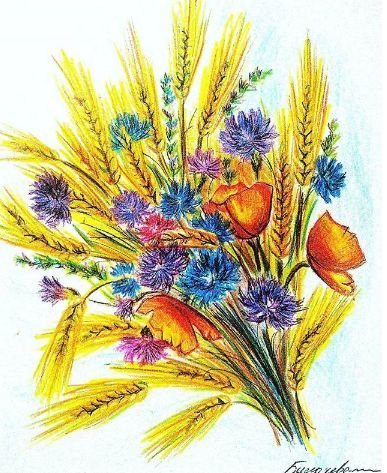 Полевые цветы цветными карандашами