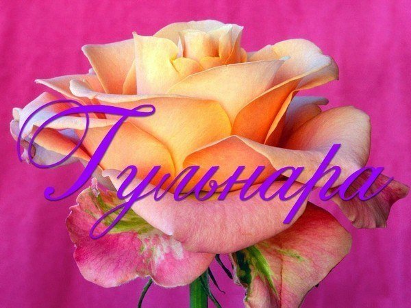 Гулечка с днем рождения