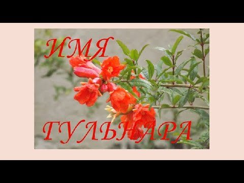 Гранатовый цветок-Гульнара