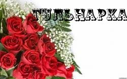 Гульнара Газизуллина Камалиева