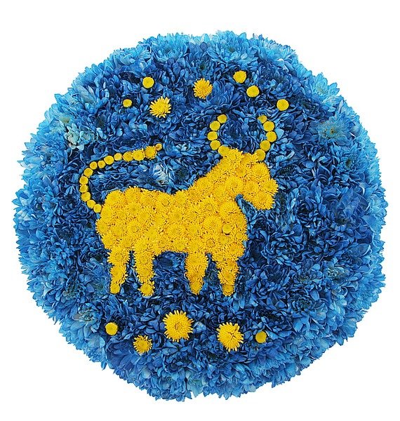 Комнатный цветок для Тельцов