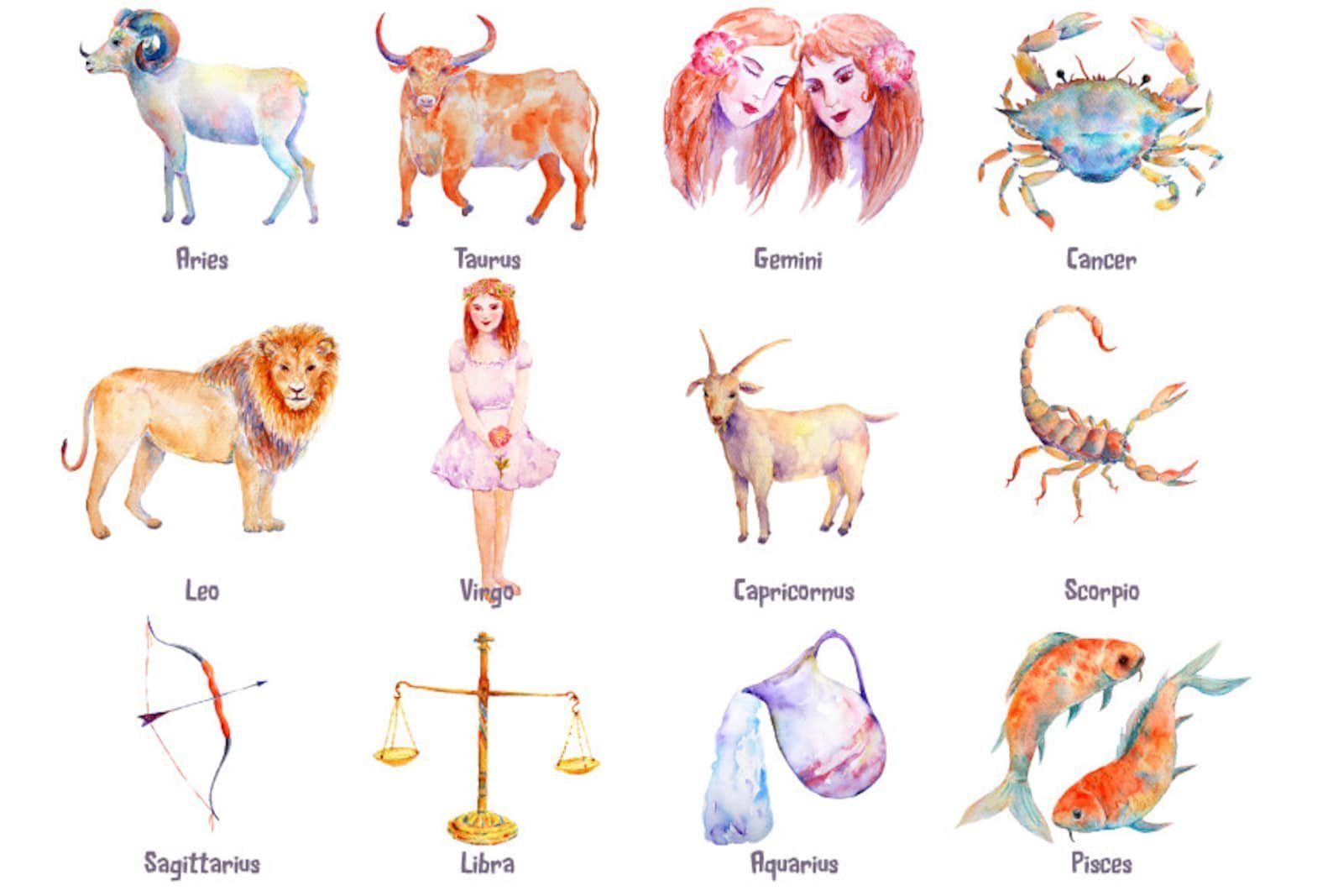 Гороскопы лев весы. Животные по знаку зодиака. Знаки зодиака животным. Знаки зодиака в виде животных. Рисунки знаков зодиака животных.