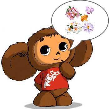 20 Августа день рождения Чебурашки