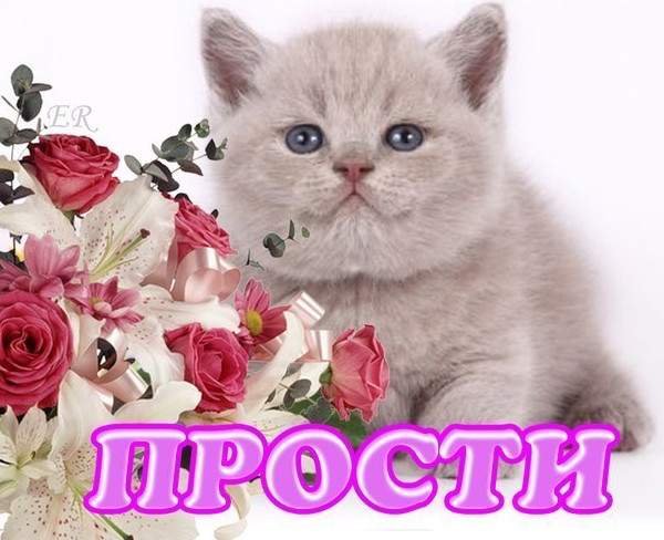 Извинения в цветах