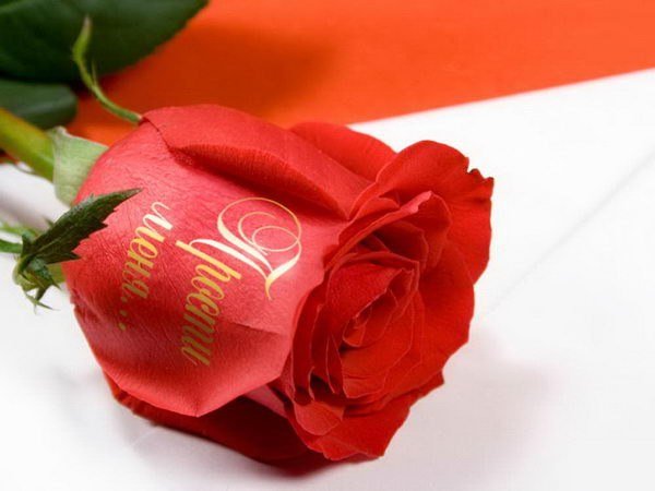 Открытки с извинениями