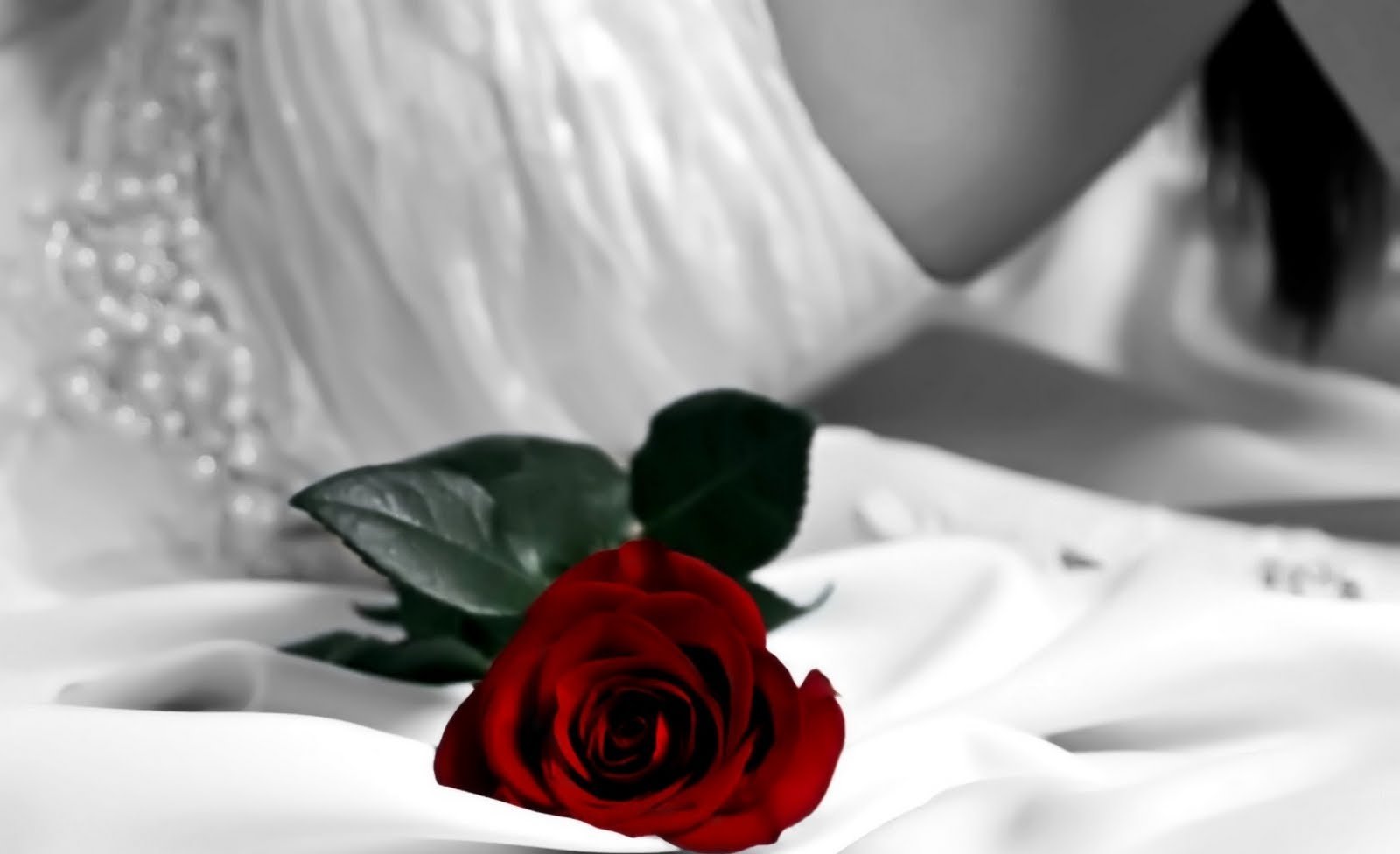 Розы спи любимая. Цветы в постель. Розы на постели. Девушка с белыми розами.