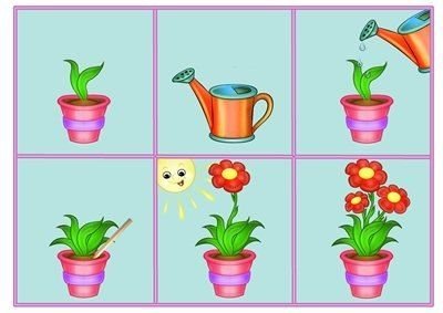 Растения для дошкольников