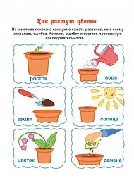 Алгоритм посадки растения для детей