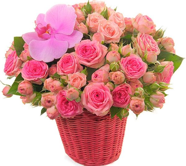 Красивый букет для настроения