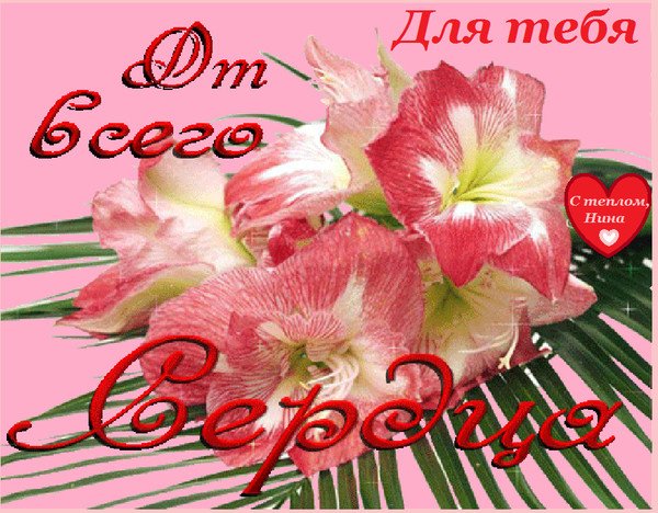 Цветы для Нины