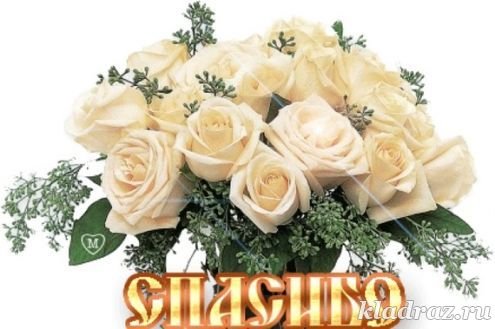 Спасибо цветы