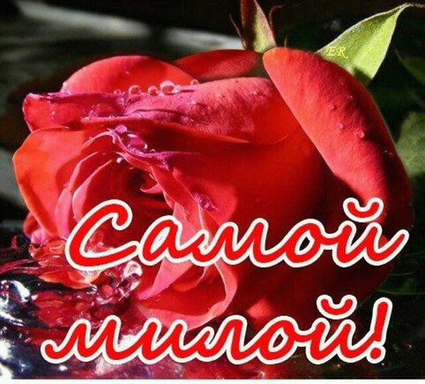 Цветы для самой красивой и желанной