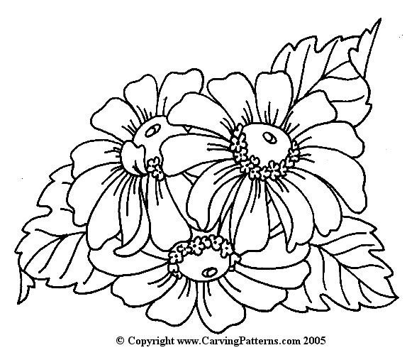 Рисунок цветов контур