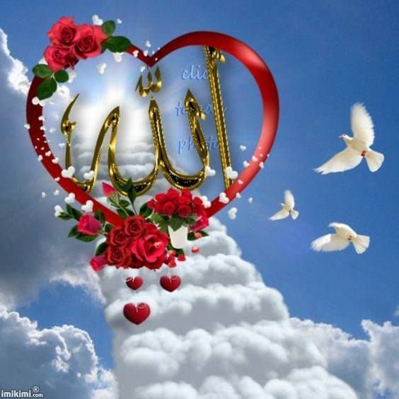 Розы с именем Аллаха