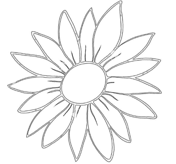 Трафарет цветка Ромашка