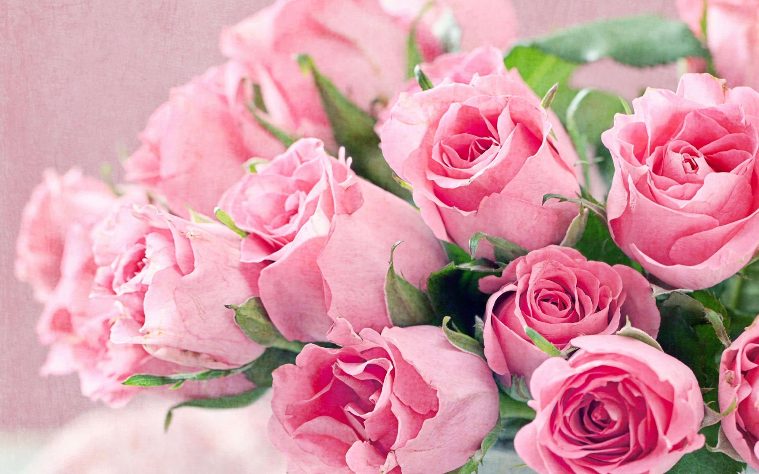 Фотографии цветов в хорошем качестве розы (69 фото) »