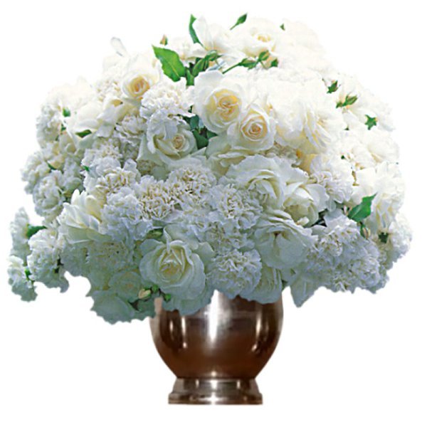 Букет белых цветов на прозрачном фоне