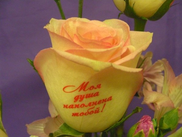 Надпись цветы