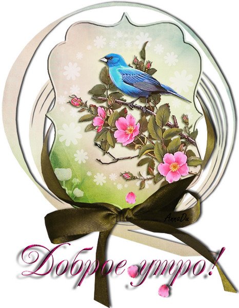 Летние птицы