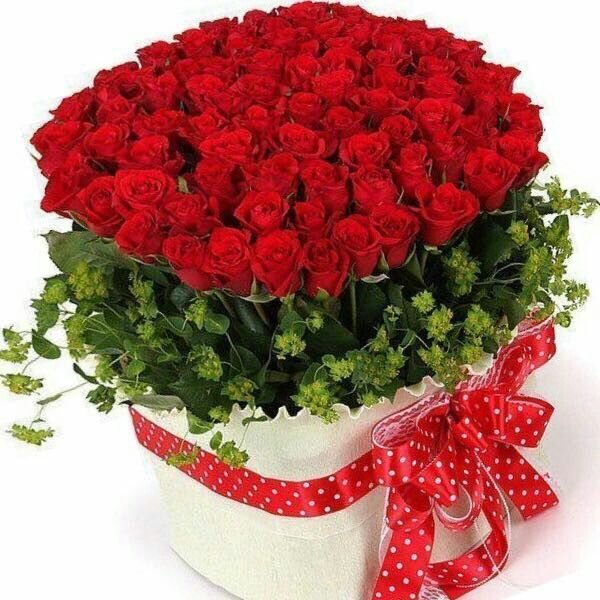 Роскошные цветы