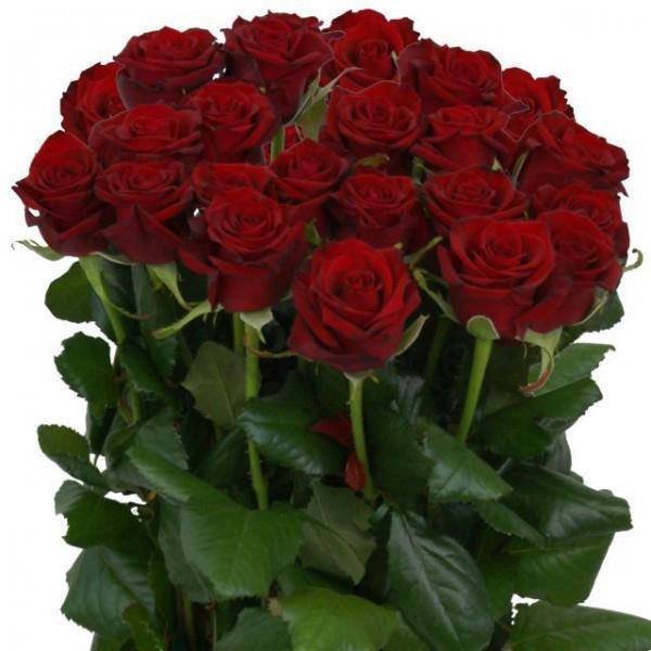 Букет цветов для Иришки