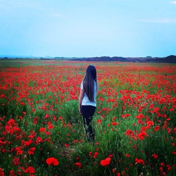 Девушка с длинными волосами в поле