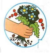 Знак не рвите растения